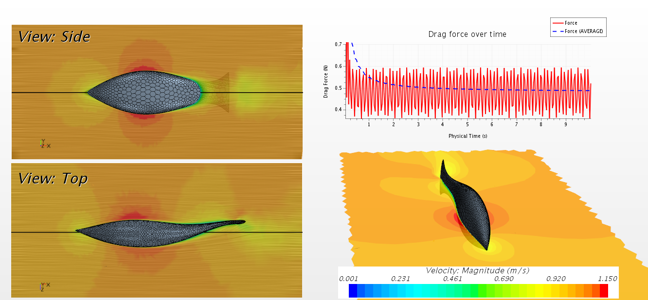 FishMotion_Scene